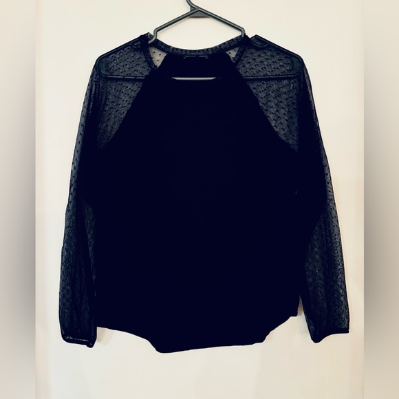 Zara Dotted Sheer Mesh Long sleeve Raglan Baseball Shirt T-shirt plumetis - Picture 4 of 6